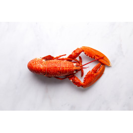 Homard cuit 500g